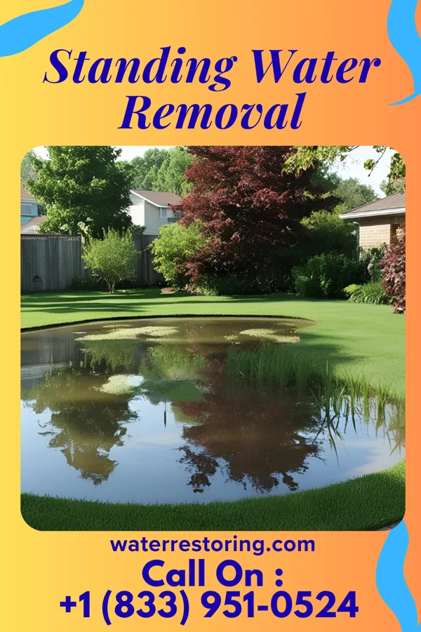 Standing Water Removal in Culbertson, NE